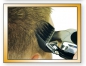 Preview: Haarschneider + Trimmer Wahl Home Pro Deluxe 79035-1316